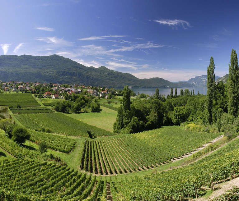  © Paysage de Vignobles Savoie Mont Blanc / Huchette